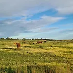 Casas Do Monte I منزل ريفي Gioes