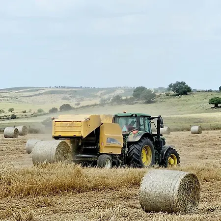Casas Do Monte I カントリーハウス Giões