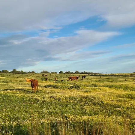 Casas Do Monte I * Giões