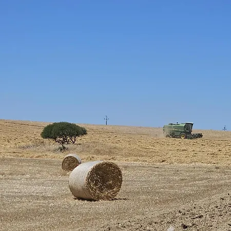 Casas Do Monte I Giões