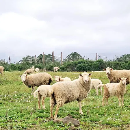 カントリーハウス Casas Do Monte I *