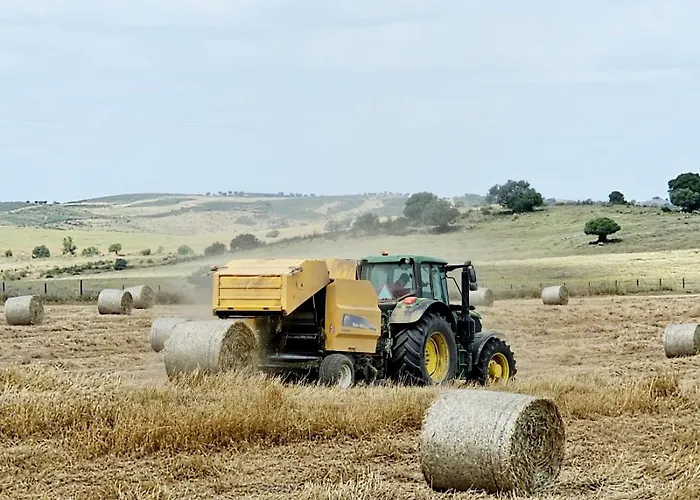 Casas Do Monte I Landhaus Gioes