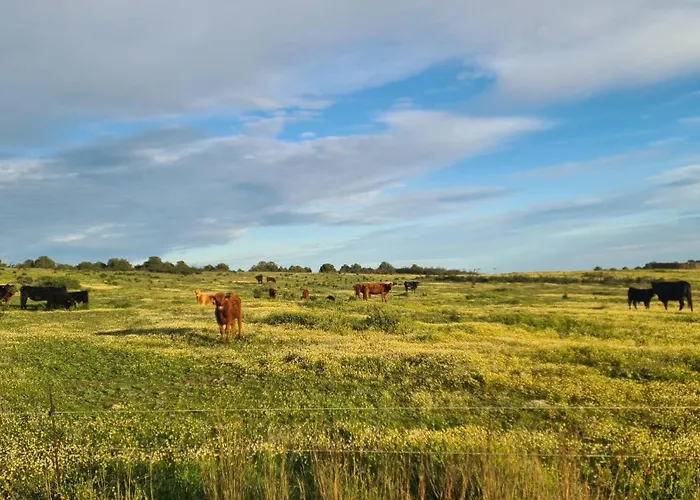 Casas Do Monte I * Gioes