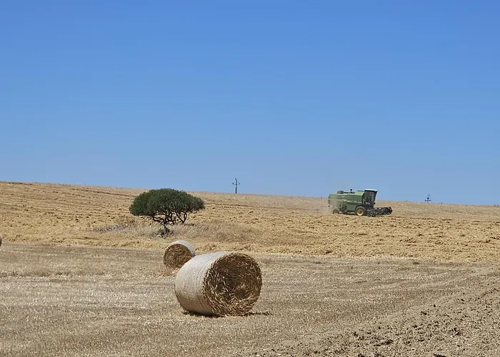 Casas Do Monte I Gioes