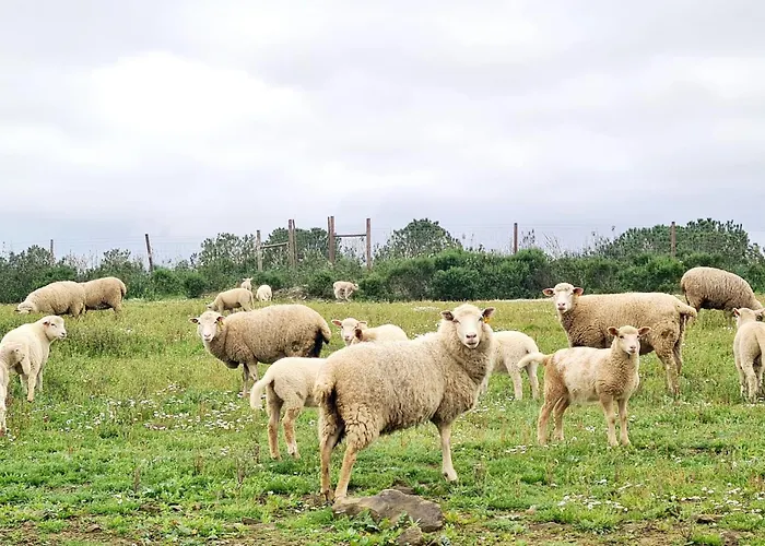 Landhaus Casas Do Monte I *